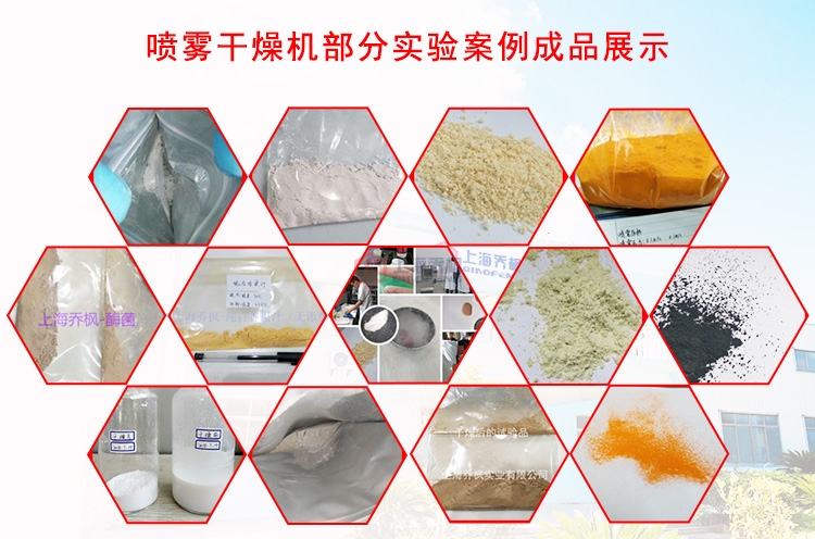 壓力式噴霧干燥機(jī) 壓力式噴霧干燥機(jī)